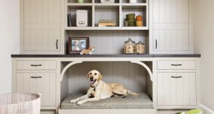 Desain Rumah yang Pet Friendly