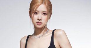 perjalanan karier Roseanne Park