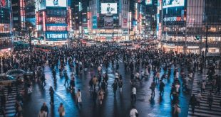 Shibuya Crossing Tokyo