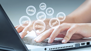 aged dan expired domain